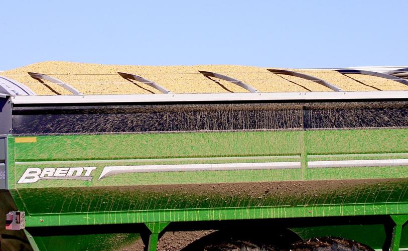 Corn wagon