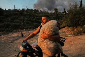 AP photographers capture destruction, heartache, resilience