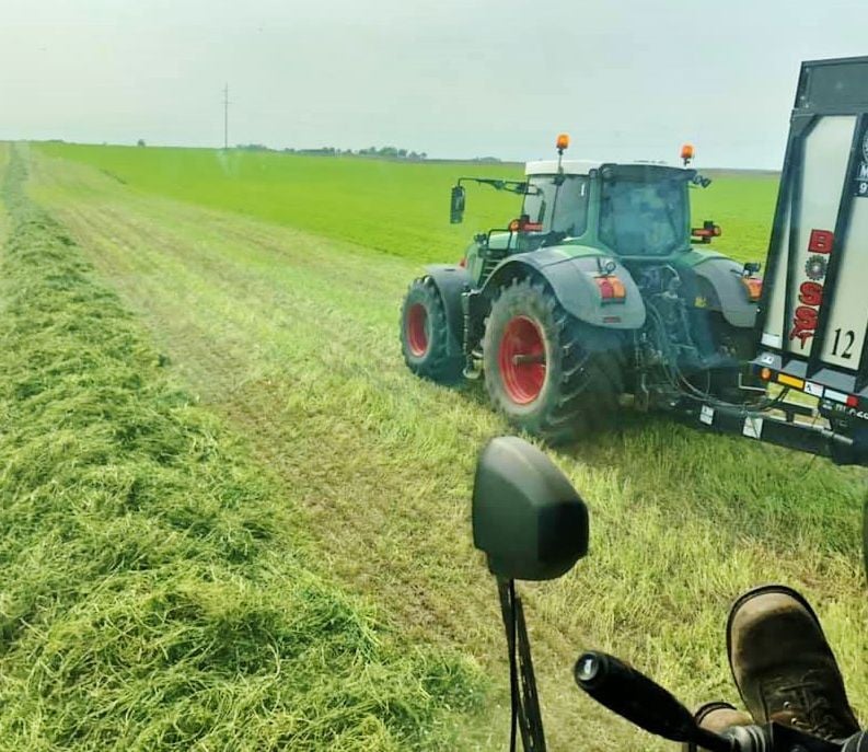 Cutting hay
