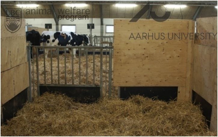 Secluded is choice in daytime