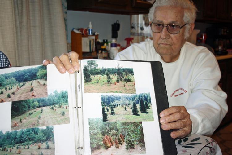 Tree planting history