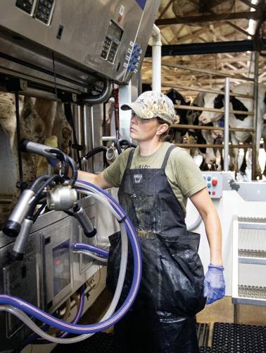 Leanne Casner dairy farm