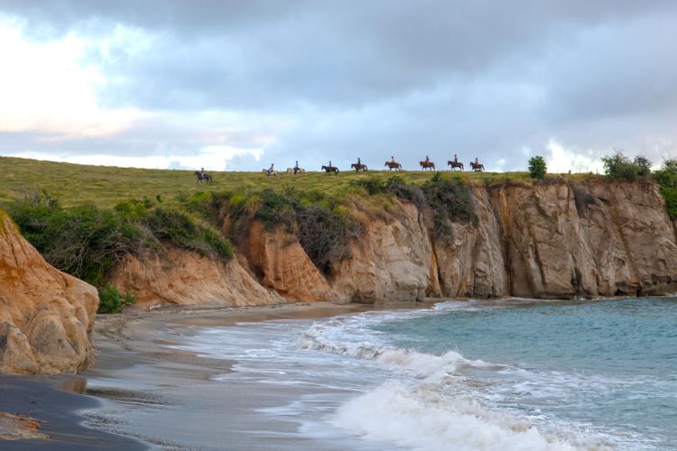 2 paso finos courtesy elizabeth buryn.jpg