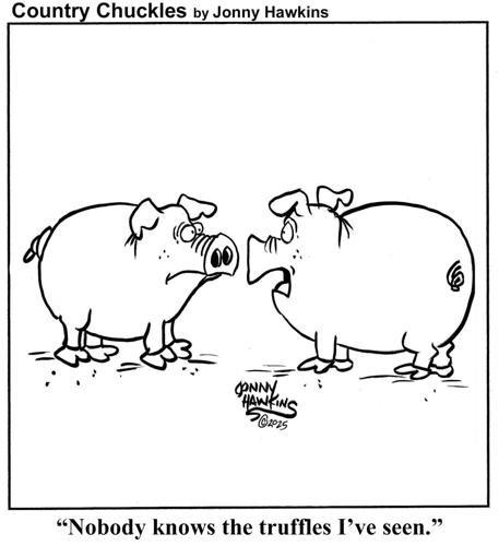 Country Chuckles by Jonny Hawkins