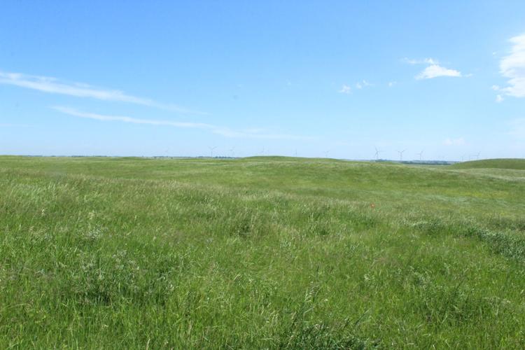 Rangeland Days (81).JPG