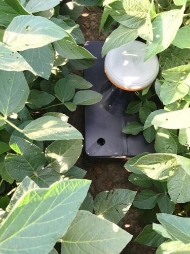 Top of TerraSentia autonomous robot