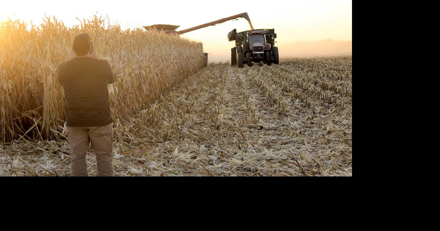 With dryness in August, yields surprise many across Illinois