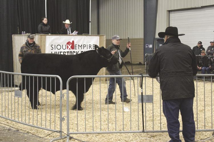 SELS 2024 (71) - worked.jpg