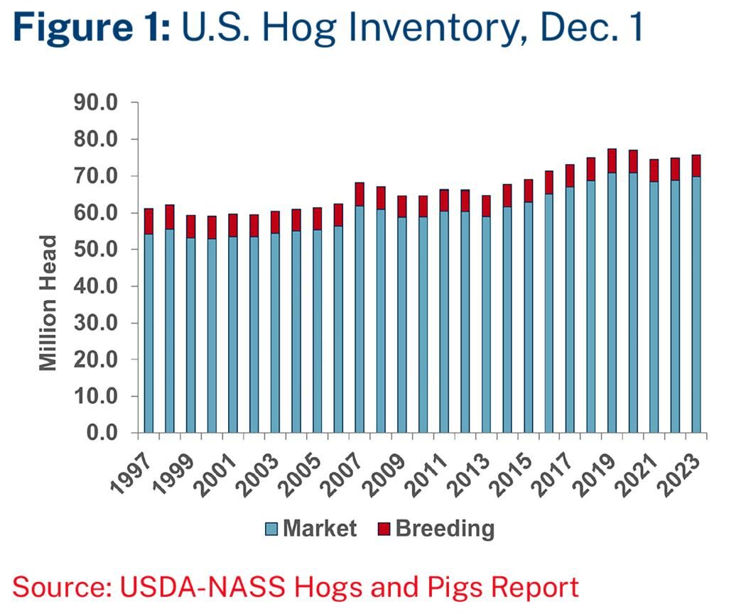 Figure 1 Hog inventory