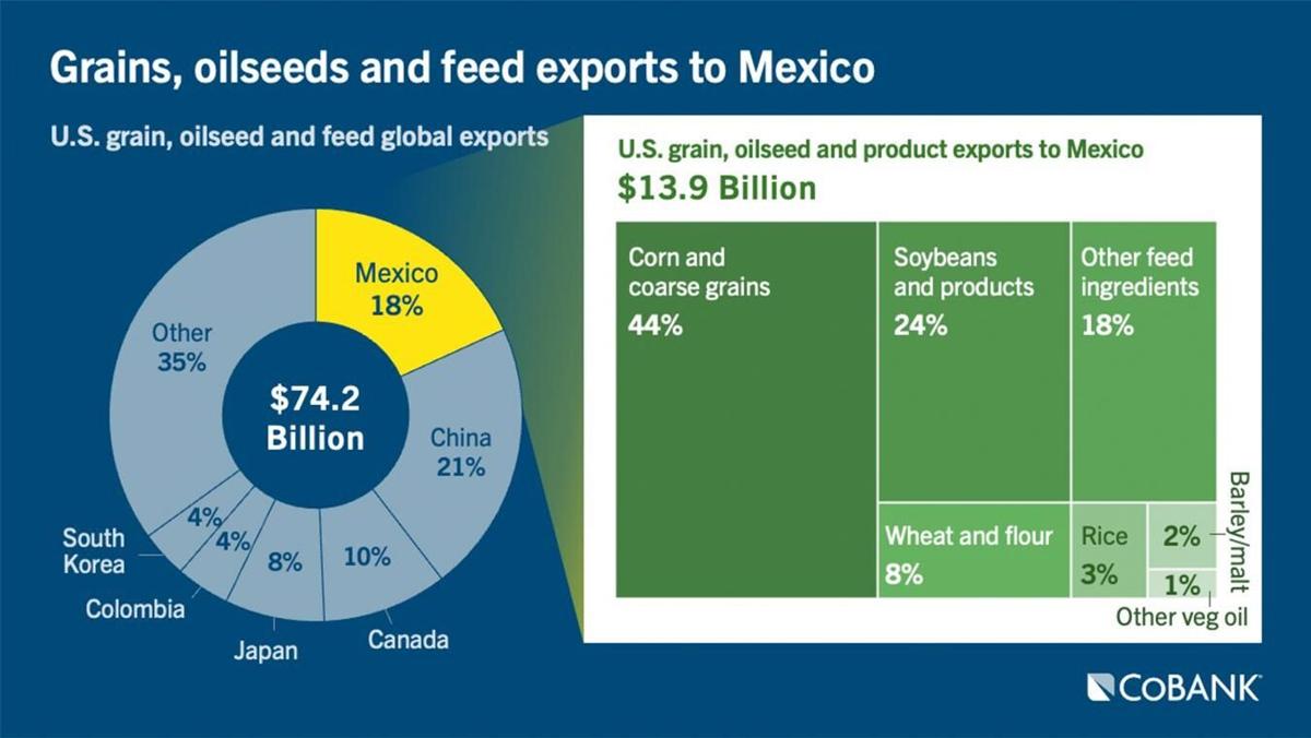 Grains to Mexico