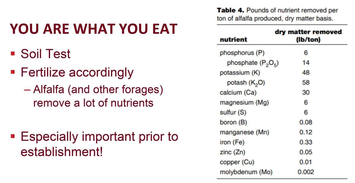 You are what you eat