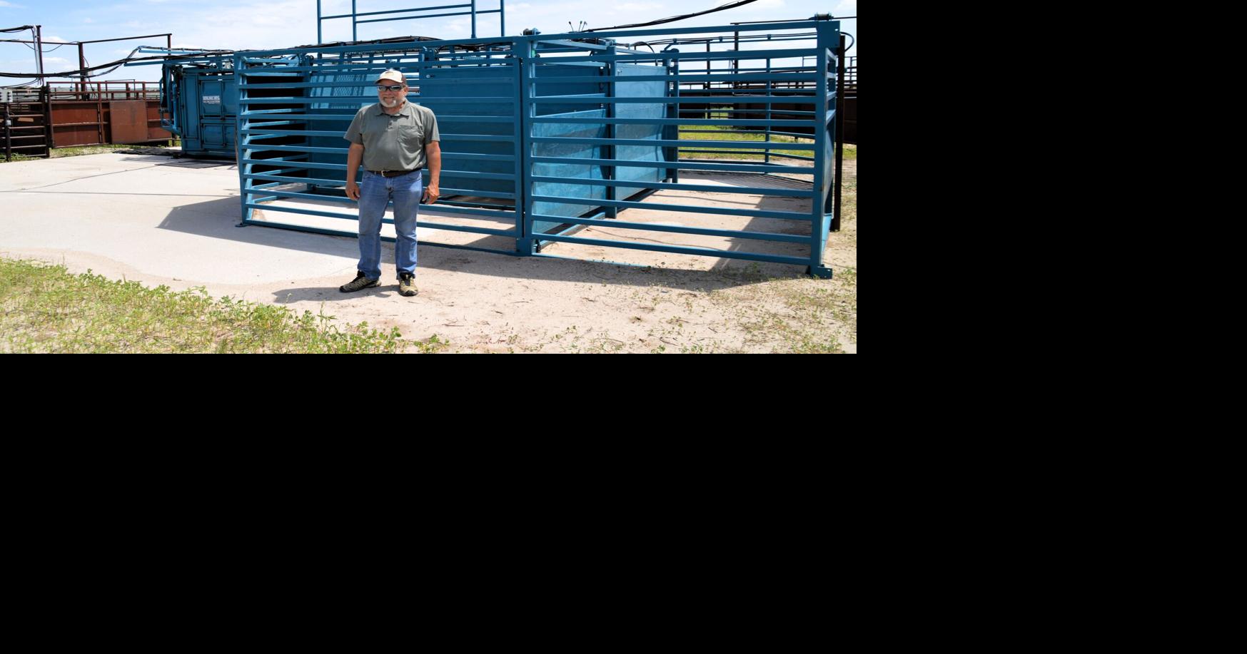 Niobrara bison 6.JPG