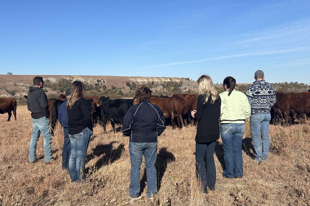 Beef genetics tour 2.jpg