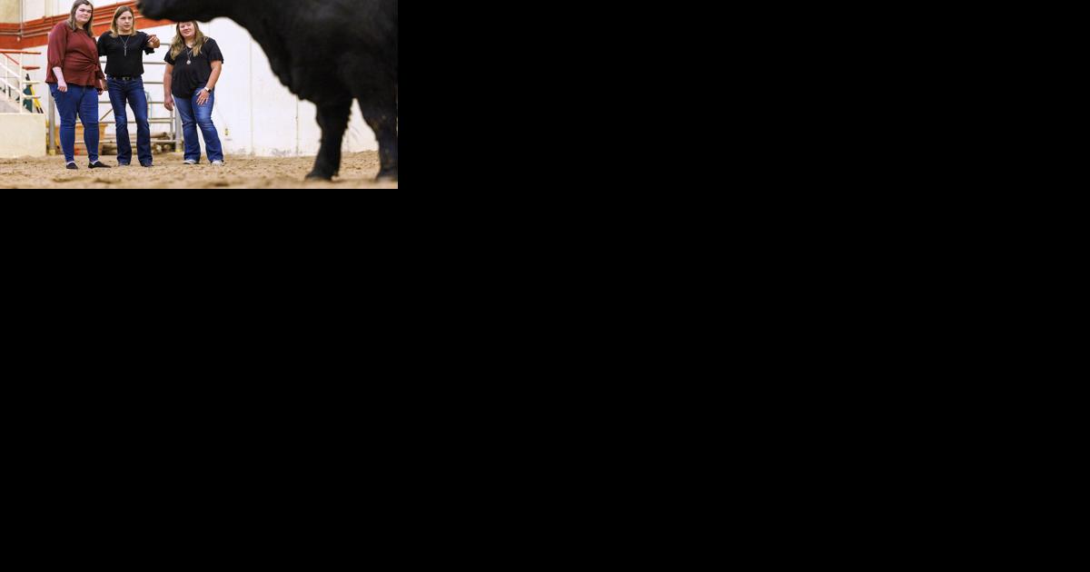 Husker team to ID genetic tools to boost cattle growth efficiency - Vimarsana News