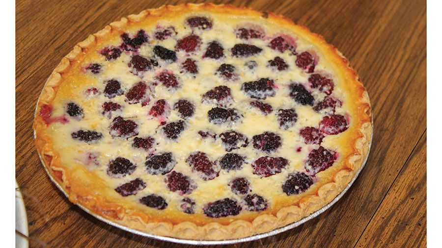 Fruit Custard Pie