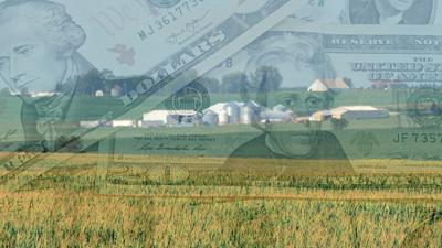 Generic-Farm with money composite image