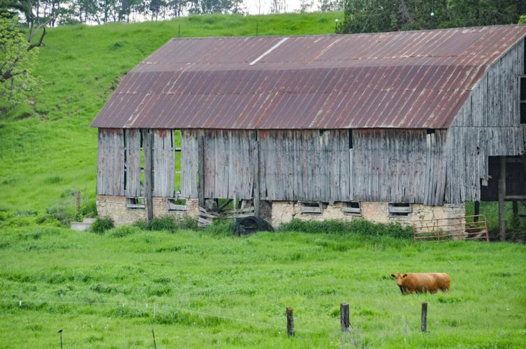 Farm barn cow field