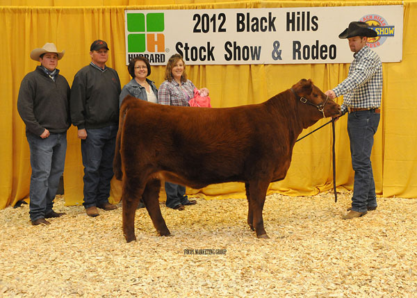 Grand Champion Red Angus Female