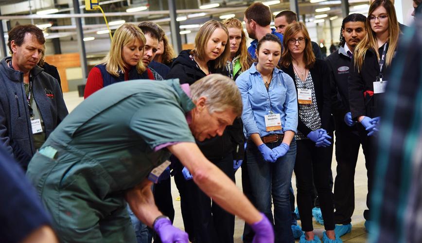 Dr. Franklyn Garry, veterinarian, works with a group of students