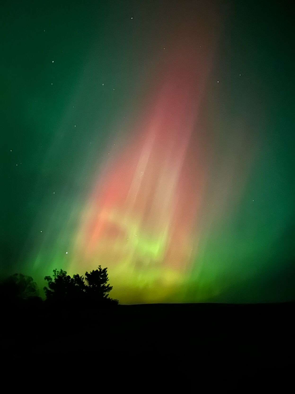 Wicks farm wraps up 2024 season, prepares for winter