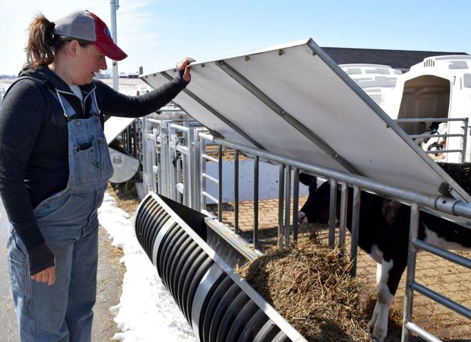 Kelli Cull with calf-feeding trough