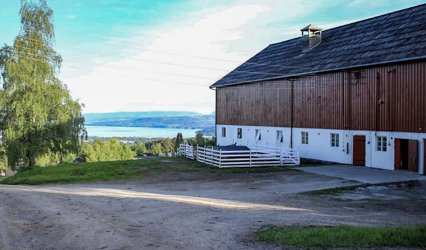 Grini barn