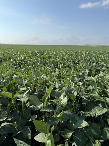 CW Holzwarth (4).jpg