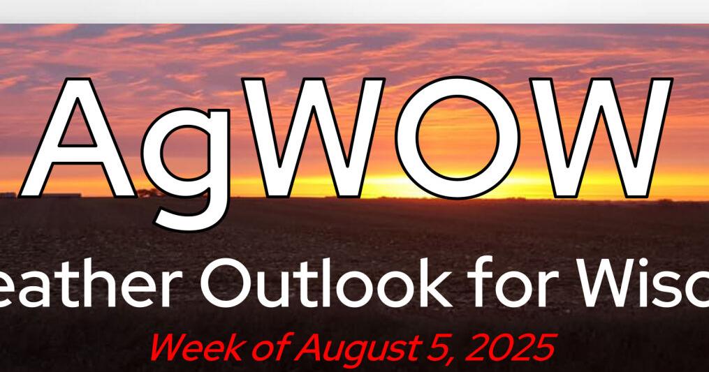 Crop weather as of Aug. 4