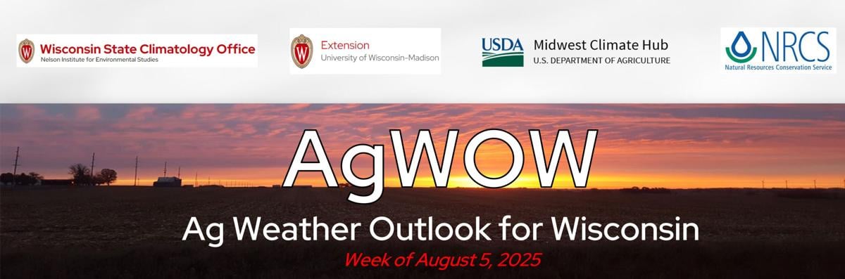 Crop weather as of Aug. 4