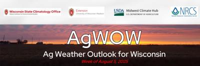 Crop weather as of Aug. 4