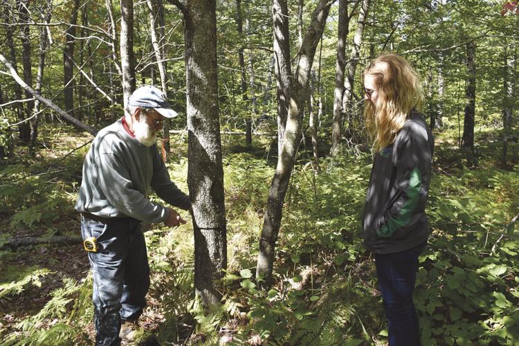 Joe Hovel and Celie Borndal examine trees