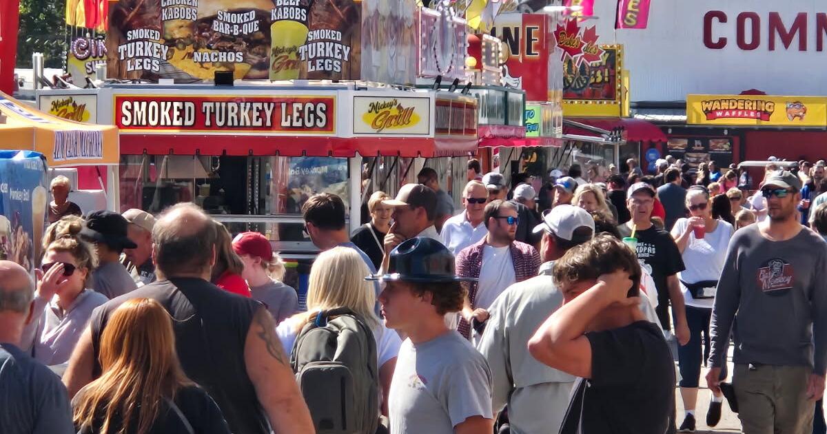 Clay COunty Fair carnival.jpg