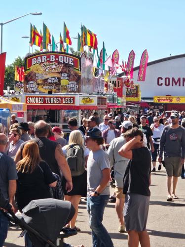 Clay COunty Fair carnival.jpg