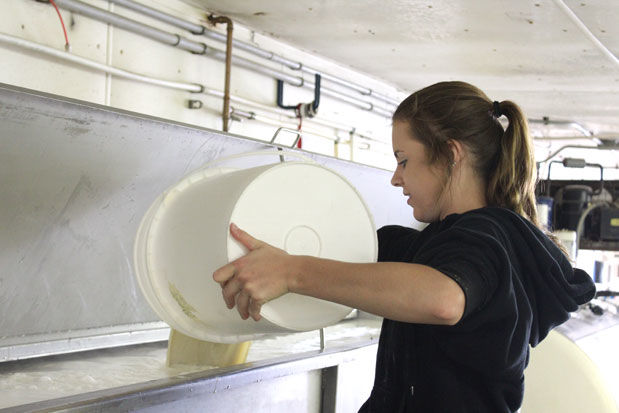Mixing milk