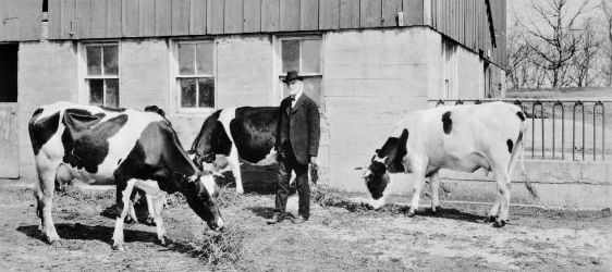 Dr. Stephen Moulton Babcock