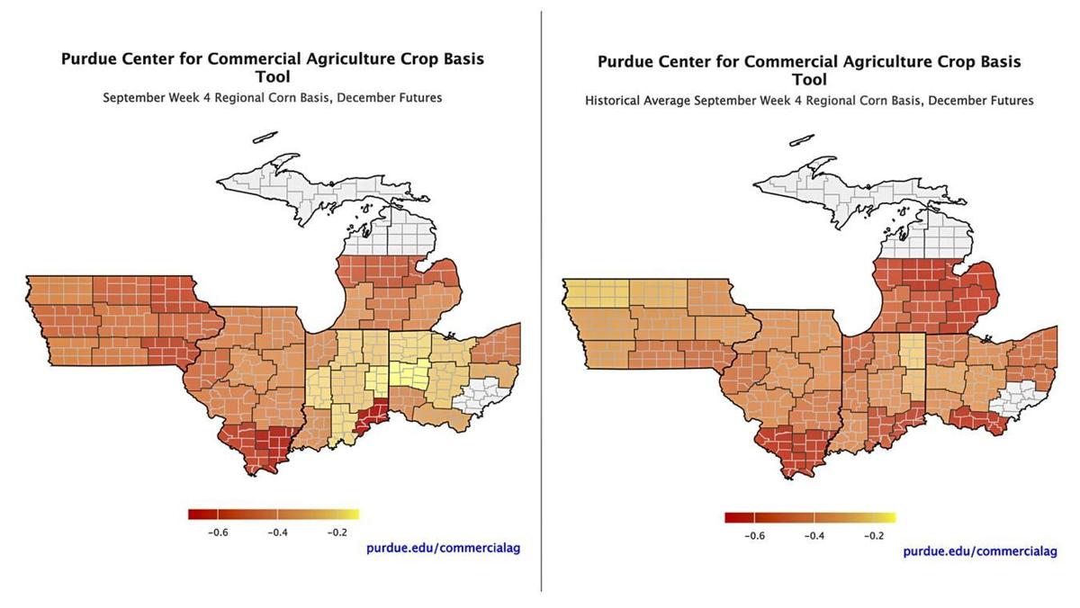 Corn basis