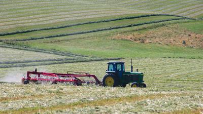 hay ground