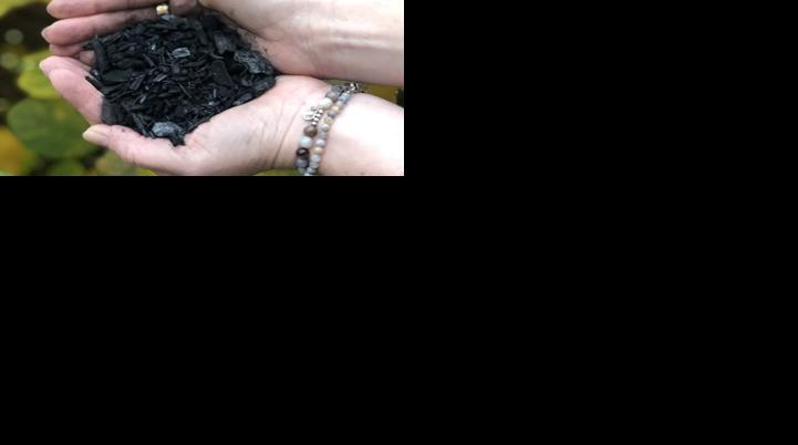 Biochar