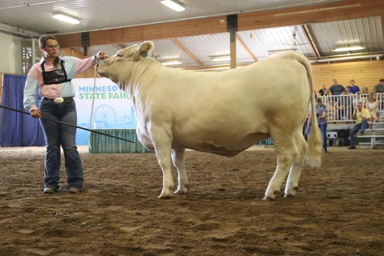 Beef Experience Program Paplow (1).jpg