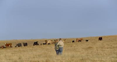 State Fair livestock complex the site of fond memories,  special milestones
