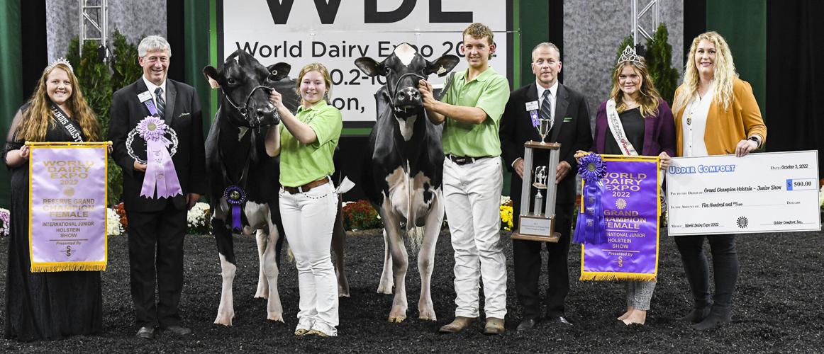 Grand champion and reserve grand champion of 2022 International Junior Holstein Show