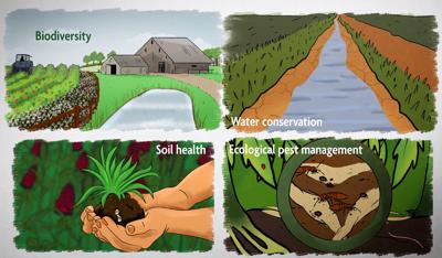 Biodiversity