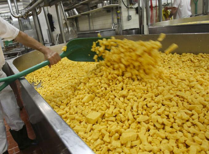 Cheesemaker stirs cheese