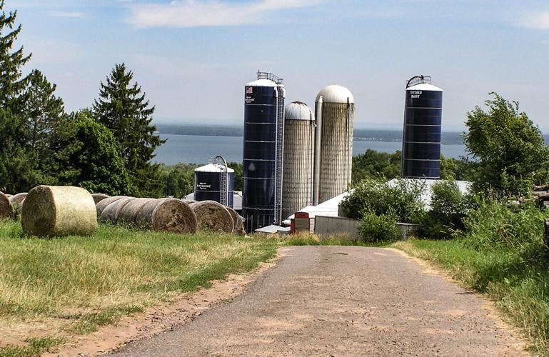 Dairy farm