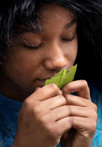 Student smelling mint leaf