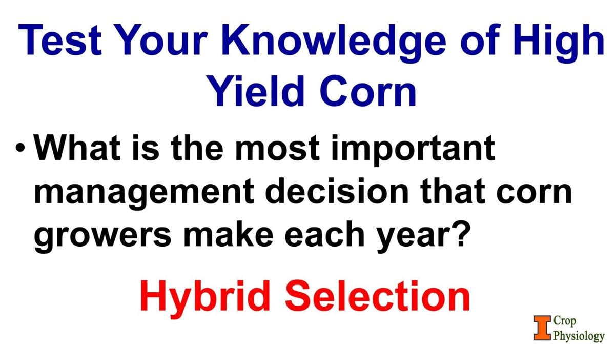 Hybrid selection