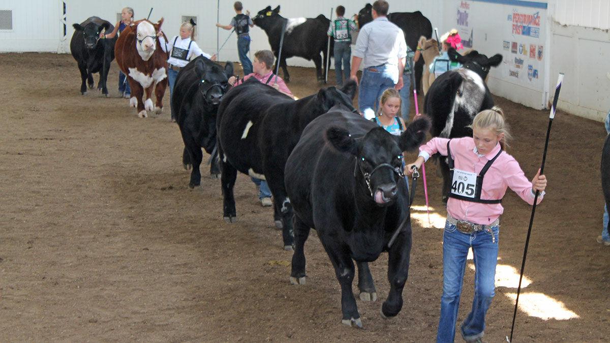 NebraskaN livestock show canceled