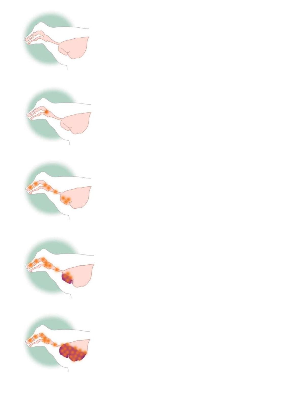 Respiratory disease 3.pdf