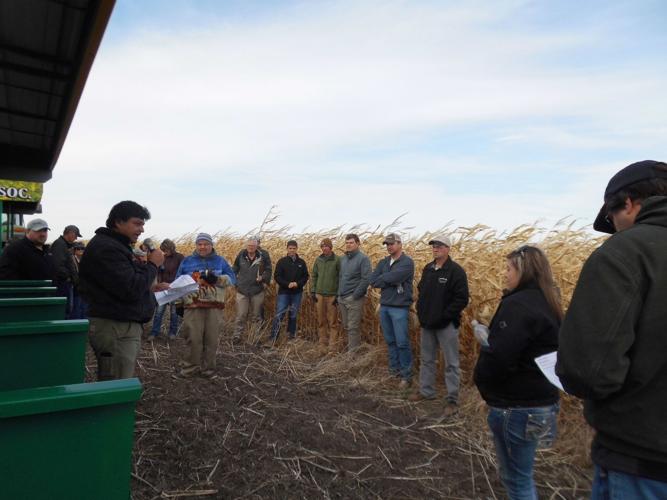 Cavalier County soil tour pix 2