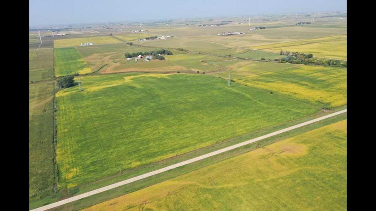 Plymouth County farmland sells for record